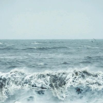dustjd_bot's profile picture. ¿
