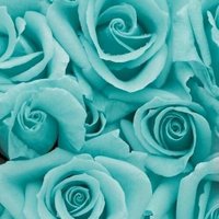 Lorraine Woodward β€οΈπβ€οΈπβͺοΈ π (@lsw236) 's Twitter Profile