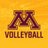 GopherVBall