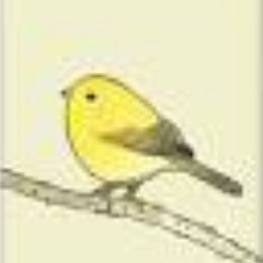 yellowbird5161 Profile Picture