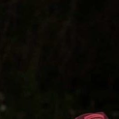 malik01_v's profile picture. 