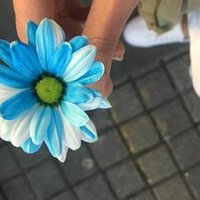 Sevdaya Dahil Mi? (@mi_dahil) Twitter profile photo