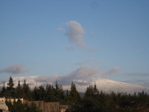 proflex4ever's profile picture. father, husband, educator, birdwatcher, bike rider, Canucks sufferer, music lover