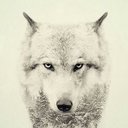 Alex Escamilla - @AlexEsc23695269 - Twitter