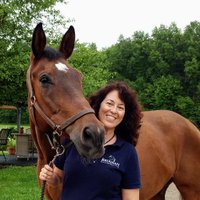 Linda S Pavey 🐾🏇🌿☀❤ (@lindasp62) 's Twitter Profile Photo Linda S Pavey 🐾🏇🌿☀❤ (@lindasp62) 's Twitter Profile Photo