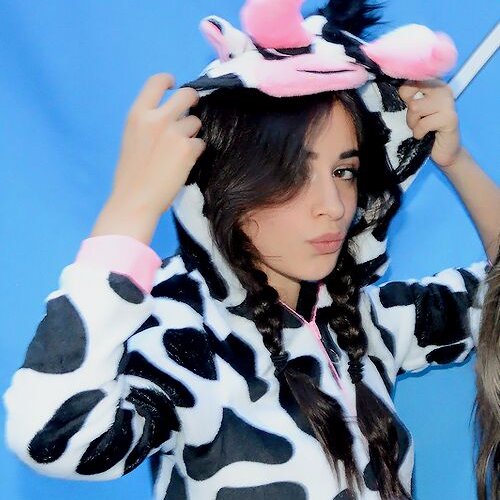 Yamilet22365479's profile picture. CAMILA CABELLO❤️  LGBT🏳️‍🌈 harry styles 💙