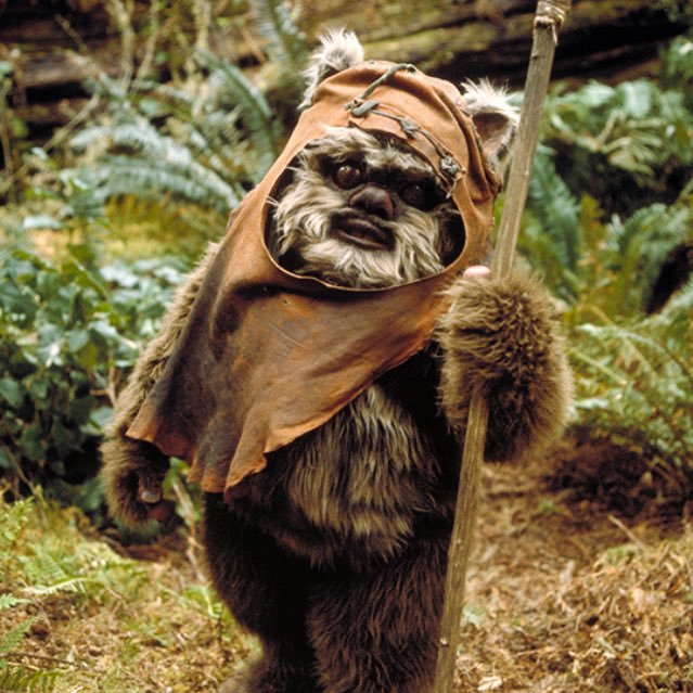 Hello everybody my name is JacTesson, you are the viewer / Star Wars YouTuber / 2.5k subs / Daboolhat