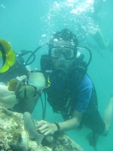 dechotio's profile picture. 