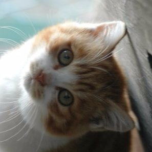 はじめまして立花まことです。独学でネットビジネスをやるも稼げず。そんな時、ある方に出会い堅実にお金を稼ぐ方法を学びました。 本が好きで自己啓発の記事などを書いています。#相互フォロー