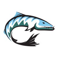 RiverviewBarracudas(@RVSBarracudas) 's Twitter Profile Photo