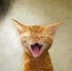 dc_immortal's profile picture. 