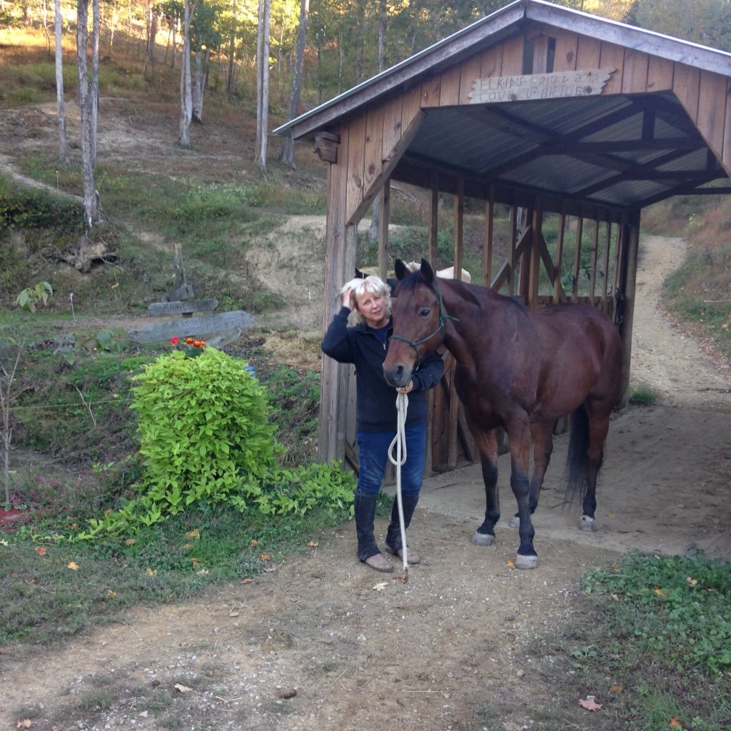 Finalstatement5's profile picture. 