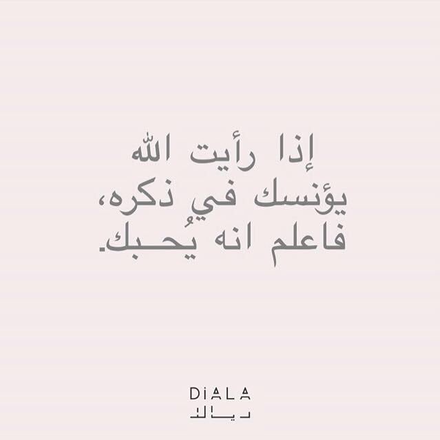 الأخبار الأخبار