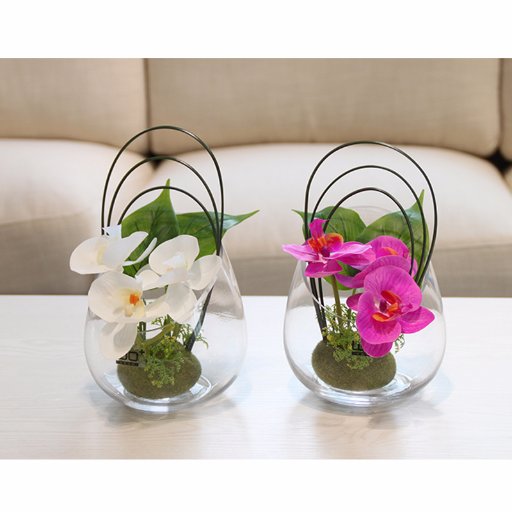 SulungWidya's profile picture. 