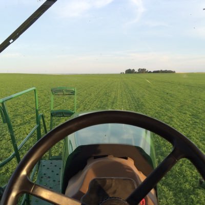 teldstrom's profile picture. 