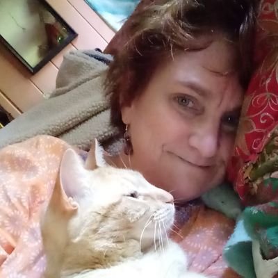 Artist, writer, photographer, animal lover; on Twitter originally as Staghart1157, and kathybarney6 because original account got lost, hence, two names.