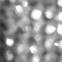 yon (@plusyone) 's Twitter Profile