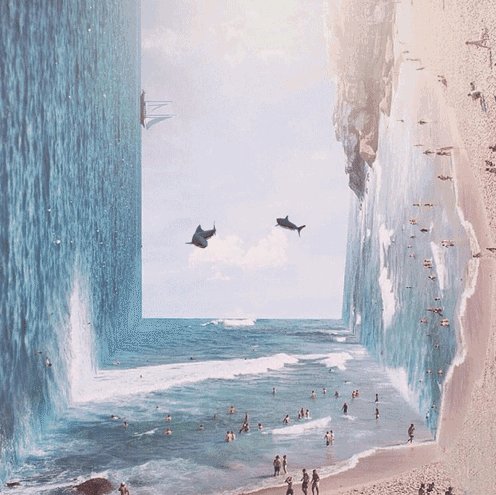 tony_suo's profile picture. 