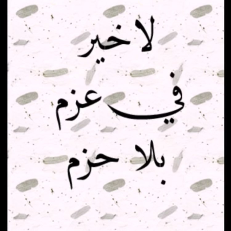 qA7DQ2Myd74NOH2's profile picture. 