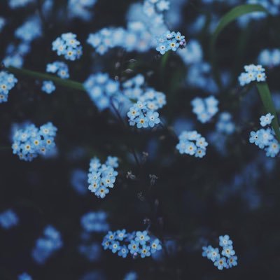 krikri_01's profile picture. 