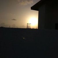 Pooja Sharma (@poojas98) 's Twitter Profile