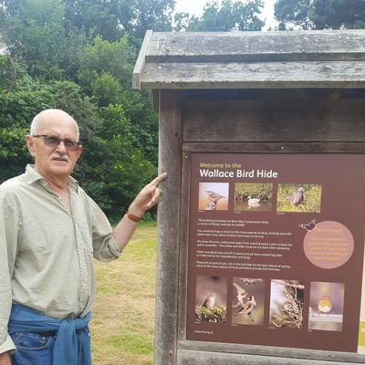 Womblerman's profile picture. 