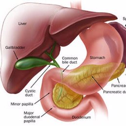 Endocrinology & Metabolic Syndrome: Current Research is using online manuscript submission, review and tracking systems for quality and quick review processing.