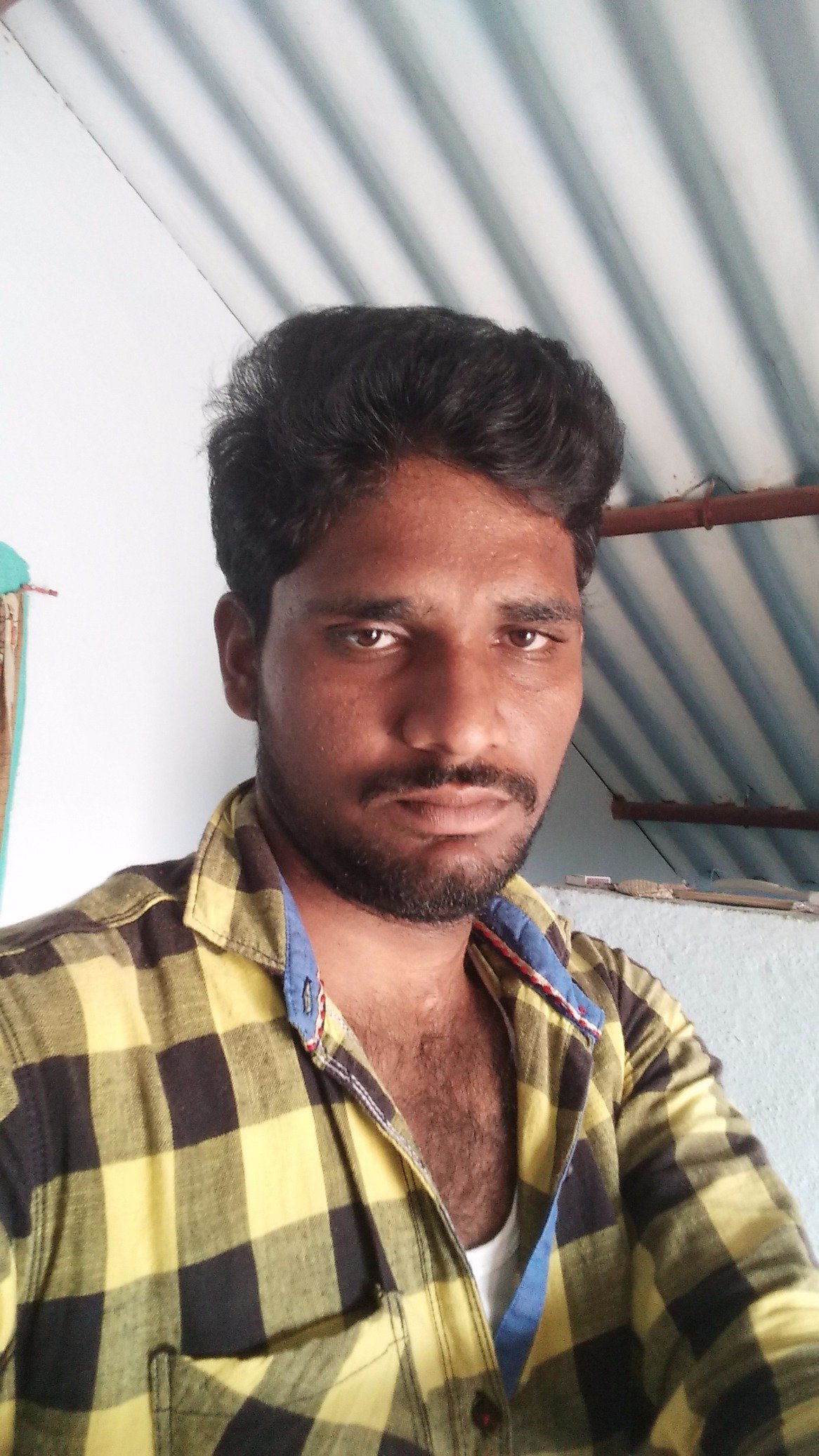 Tsurendar3's profile picture. 