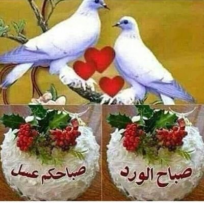 FTteREut25Z3QHn's profile picture. ‏‏نمط الحياة