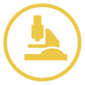 digitalLIFE4ce's profile picture. digitalLIFE4CE is part of the Interreg Central Europe programme. It fosters innovation in integrated healthcare systems solutions.