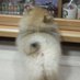 🐾🐶 (@nongchoojung) Twitter profile photo 🐾🐶 (@nongchoojung) Twitter profile photo