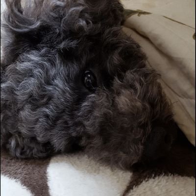 V6i6vUisI0VVCsI's profile picture. はじめまして。
Mr.Childrenを聴いて人生をおくってます。

愛されて、優しくなれて
その優しさゆえに愛されて