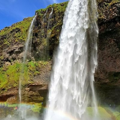 NHGeogger's profile picture. 