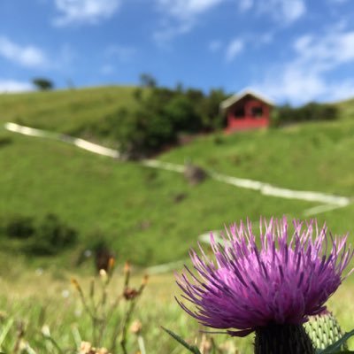 鈴木なつみ草組 Ex Nono Suzuran Twitter 鈴木なつみ草組 Ex Nono Suzuran Twitter