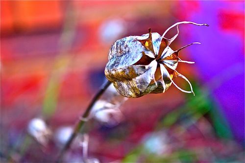 Explodn_Photos's profile picture. 