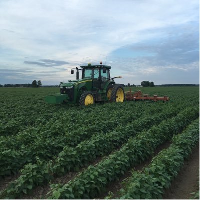 A farm of 2500 acres of organic corn, black beans, pinto beans, peas, squash, soybeans located in St.Louis Michigan 🌱🌾🚜✋🏻