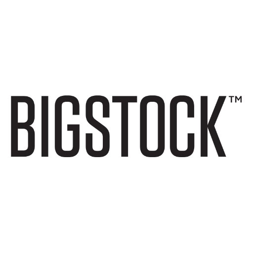 Bigstock Profile Picture