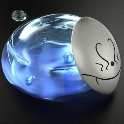 N6EvpmJLBR3Fzoz's profile picture. 