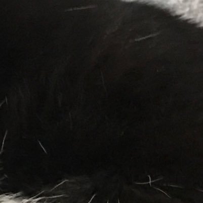 ol__fl's profile picture. 