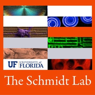 The Schmidt Lab at the University of Florida; Research in Biomimetic Materials & Neural Engineering @CESchmidt_UF @UFBME @UF