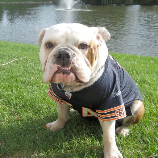 RDPrincipalD93's profile picture. Roy DeShane School Principal