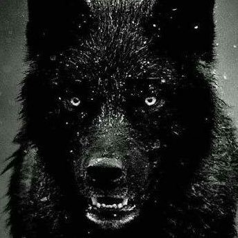 Jesselo34787933's profile picture. Go follow me on Instagram plez https://t.co/JvYMp6Nl0Y it's cringe so