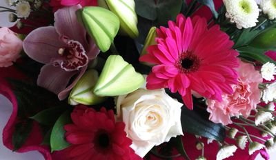 MsBALee's profile picture. 