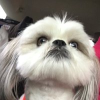 Kristin Bovi (@bovi13bovi) 's Twitter Profile Photo Kristin Bovi (@bovi13bovi) 's Twitter Profile Photo