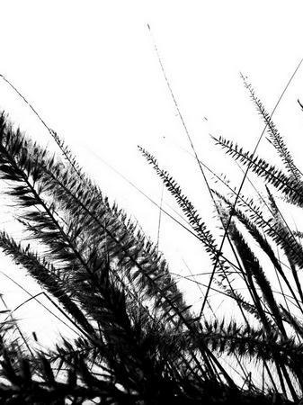 StreamsDK's profile picture.