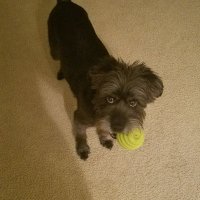 JR (@taurusguy813) 's Twitter Profile