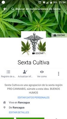 Sexta Cultiva es una agrupacion de la sexta región PRO-CANNABIS, súmate a esta idea. BUENOS HUMOS