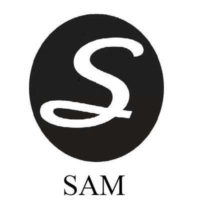 Somos una consultora que ofrece servicios impositivos, contables y financieros a Monotributistas y Responsables Inscriptos.