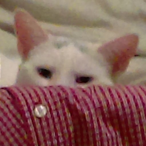 ballercat's profile picture. Full-time JavaScript engineer, open source enthusiast. I hack on WebAssembly in my free time.