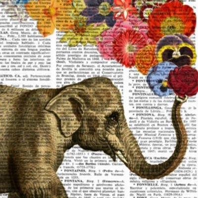 ejalonzo's profile picture. Un elefante nunca olvida a quien le ha hecho daño !